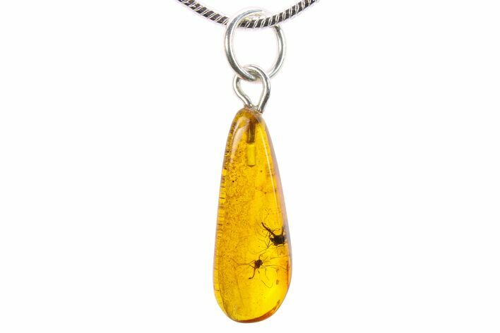 Polished Baltic Amber Pendant (Necklace) - Contains Flies! #270704